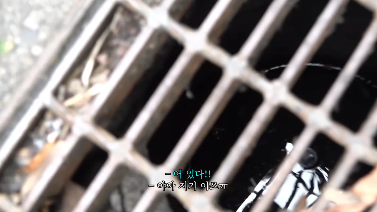 하수구에 에어팟 떨어트린 추성훈 (6)