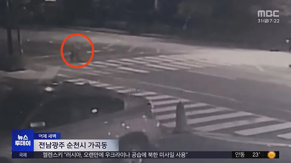 횡단보도 걷던 90대, 음주운전한 20대남성 차량에 치여 숨져 (3)