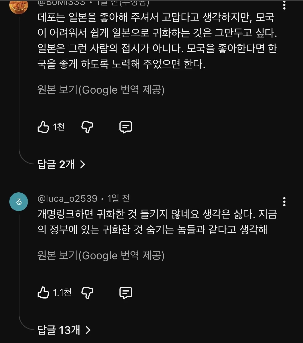 ’하반신 시신 37구‘ 혐한 한국인 유튜버, 일본 귀화선언 (7)