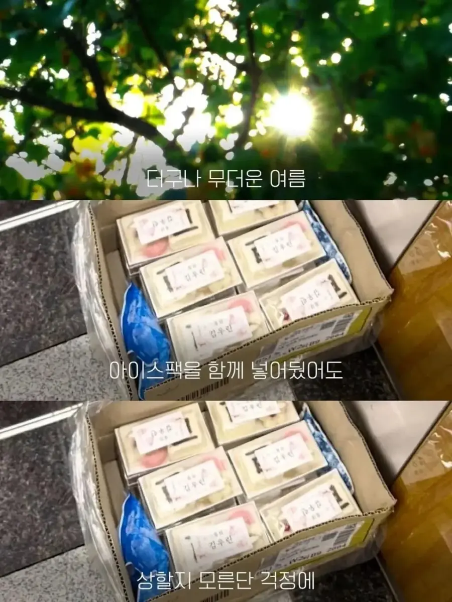 백일떡을 엘리베이터에 두었더니 이웃들 반응 (5)