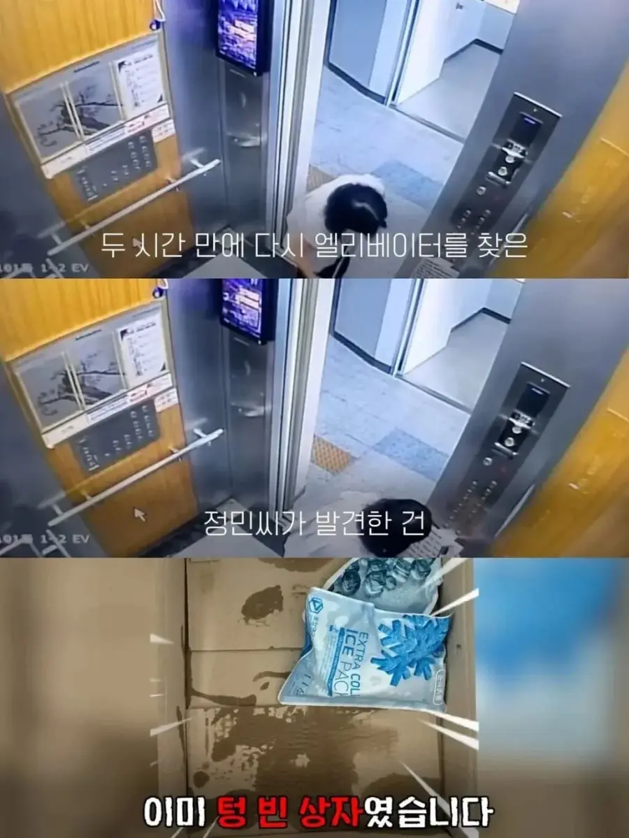 백일떡을 엘리베이터에 두었더니 이웃들 반응 (6)
