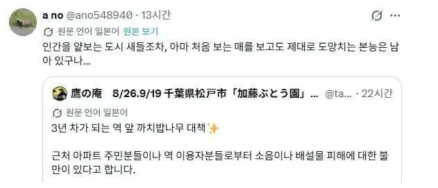 역 앞 새 쫓아내기