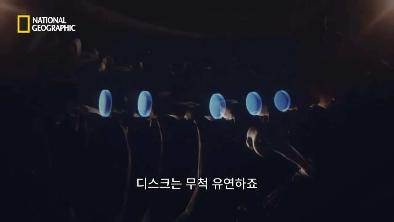 사냥중 120m 절벽 아래로 구른 눈표범 (6)