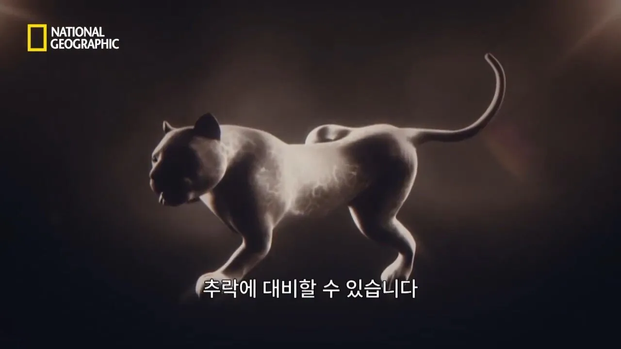 사냥중 120m 절벽 아래로 구른 눈표범 (8)