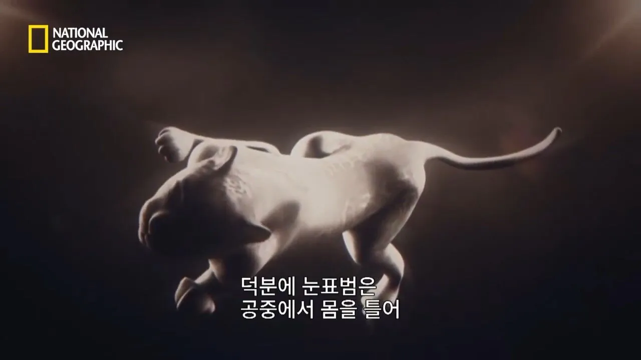 사냥중 120m 절벽 아래로 구른 눈표범 (7)