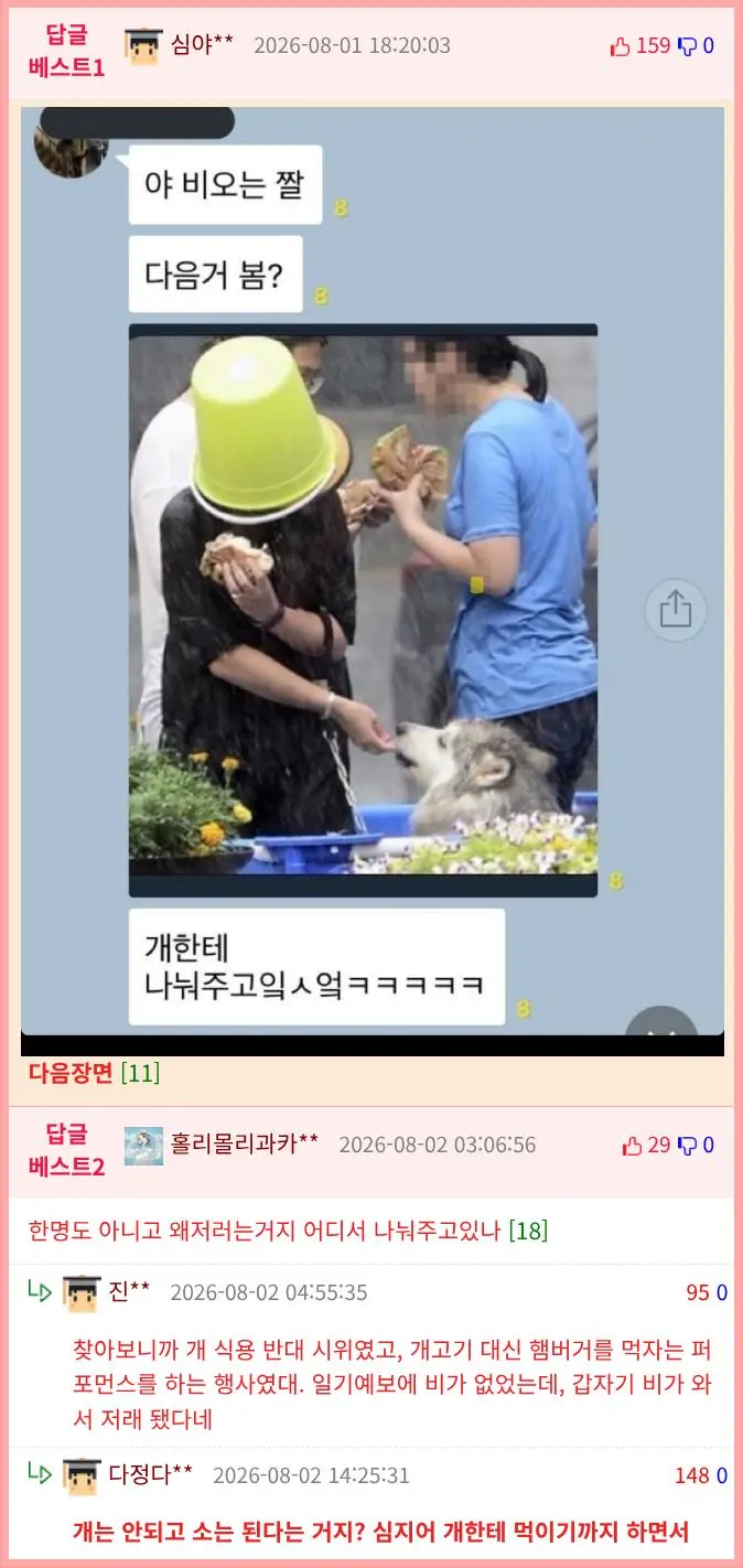 왜...이분은 바가지를 쓰고 비를 맞으며 햄버거를 드시고 계신가 (2)