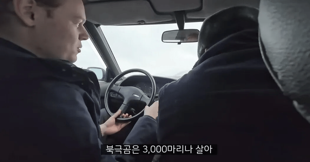 북극 사람들이 말해주는 북극곰의 진실 (2)