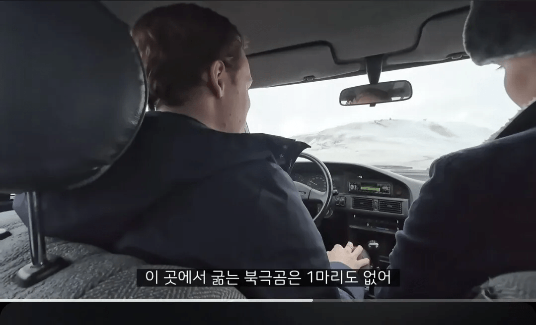 북극 사람들이 말해주는 북극곰의 진실 (13)