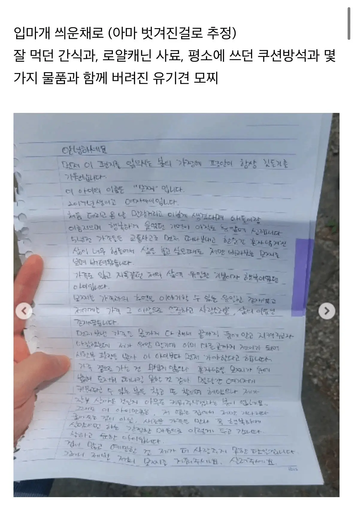 탄천 주차장에 버려졌던 강아지 ‘모찌’ (3)
