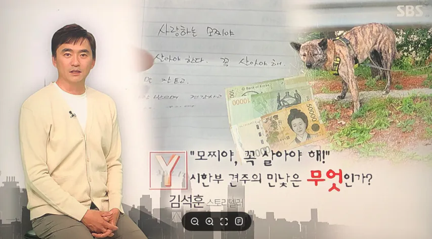 탄천 주차장에 버려졌던 강아지 ‘모찌’ (8)