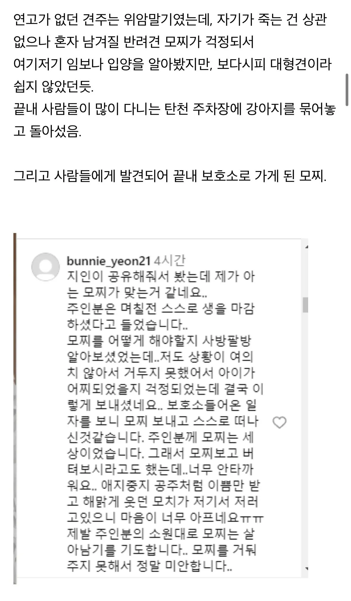 탄천 주차장에 버려졌던 강아지 ‘모찌’ (6)