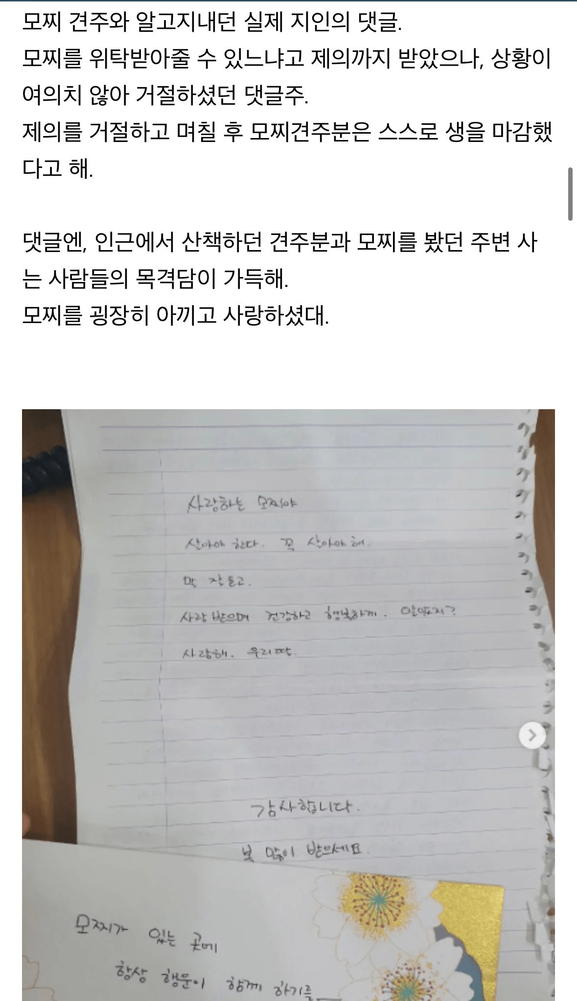 탄천 주차장에 버려졌던 강아지 ‘모찌’ (7)