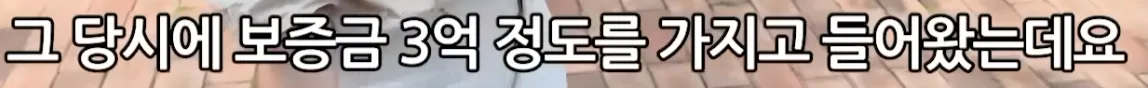 사회적 문제가 되어버린 20년 장기전세 만기 (8)