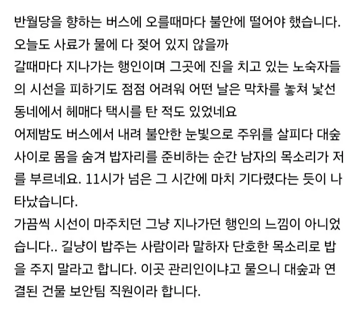 8년간 밥주다가 최후 통첩 받은 캣맘 (3)
