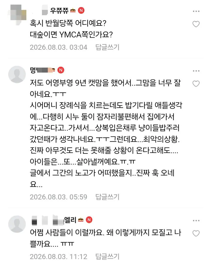 8년간 밥주다가 최후 통첩 받은 캣맘 (5)