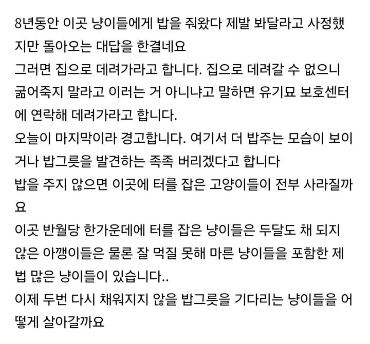 8년간 밥주다가 최후 통첩 받은 캣맘 (4)