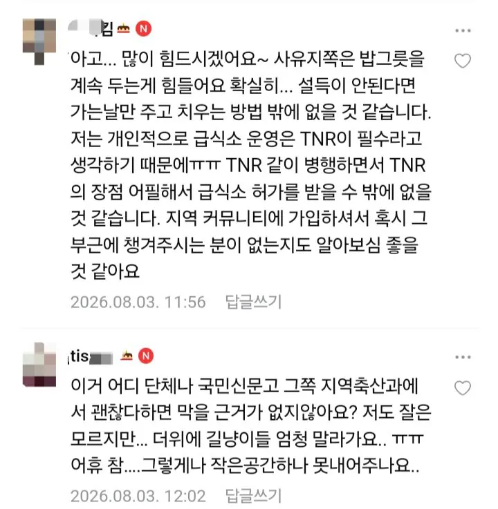 8년간 밥주다가 최후 통첩 받은 캣맘 (6)