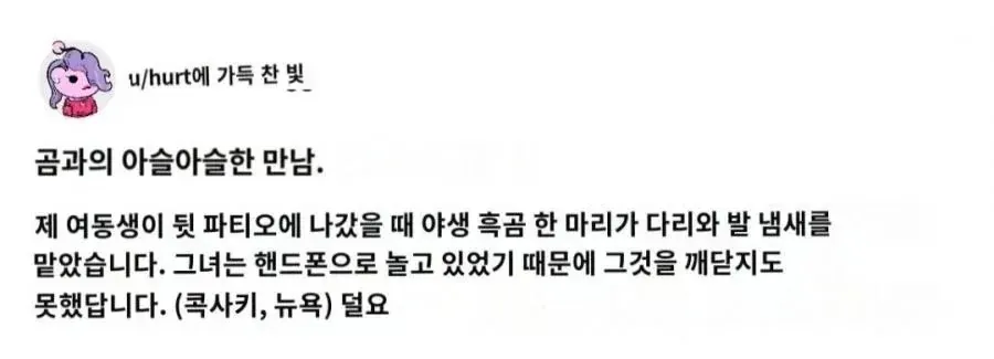 야생곰과 여동생의 아슬아슬한 만남