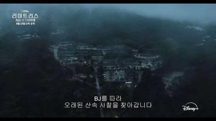 디즈니가 생각하는 한국 불교의 모습 (2)