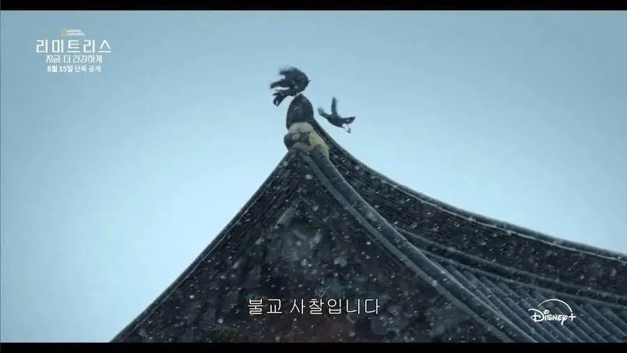 디즈니가 생각하는 한국 불교의 모습 (4)