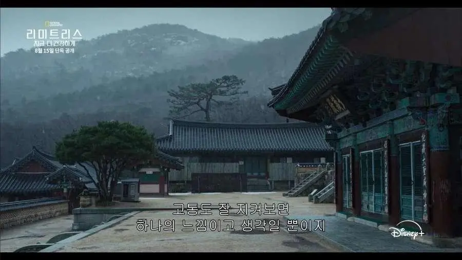 디즈니가 생각하는 한국 불교의 모습 (7)